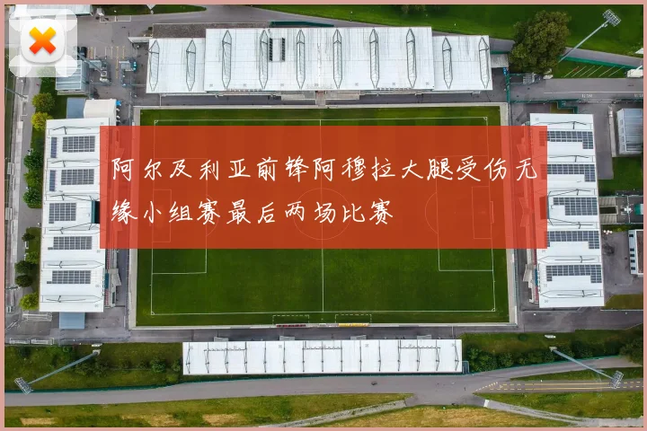阿尔及利亚前锋阿穆拉大腿受伤无缘小组赛最后两场比赛